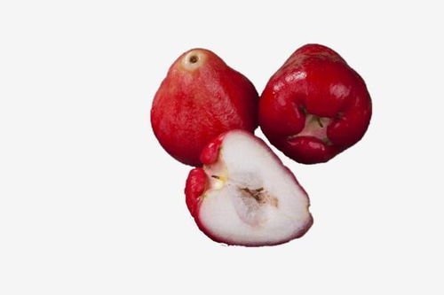 水潤多汁的蓮霧 天然健康的美食之選